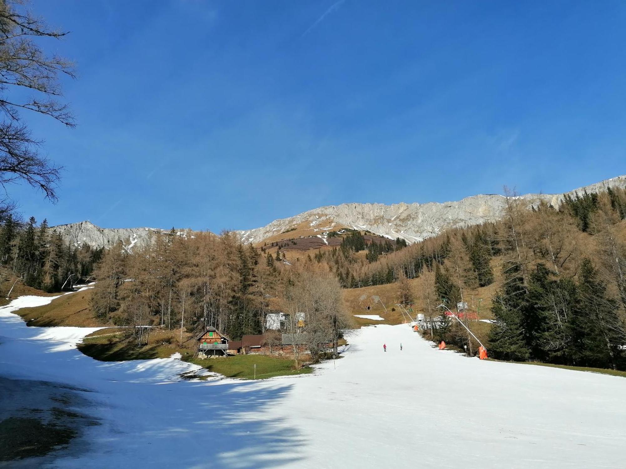 NiederaigenWaldhaus Klein-Veitsch, Auszeit Im Gruenenアパートメント エクステリア 写真