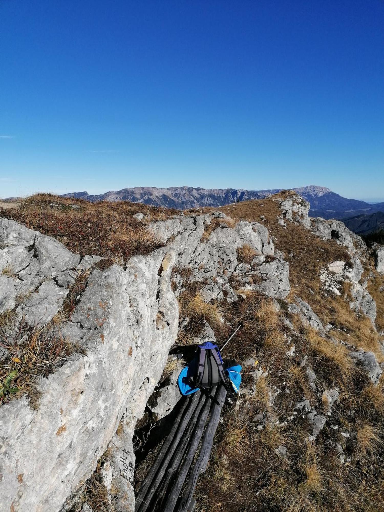 NiederaigenWaldhaus Klein-Veitsch, Auszeit Im Gruenenアパートメント エクステリア 写真
