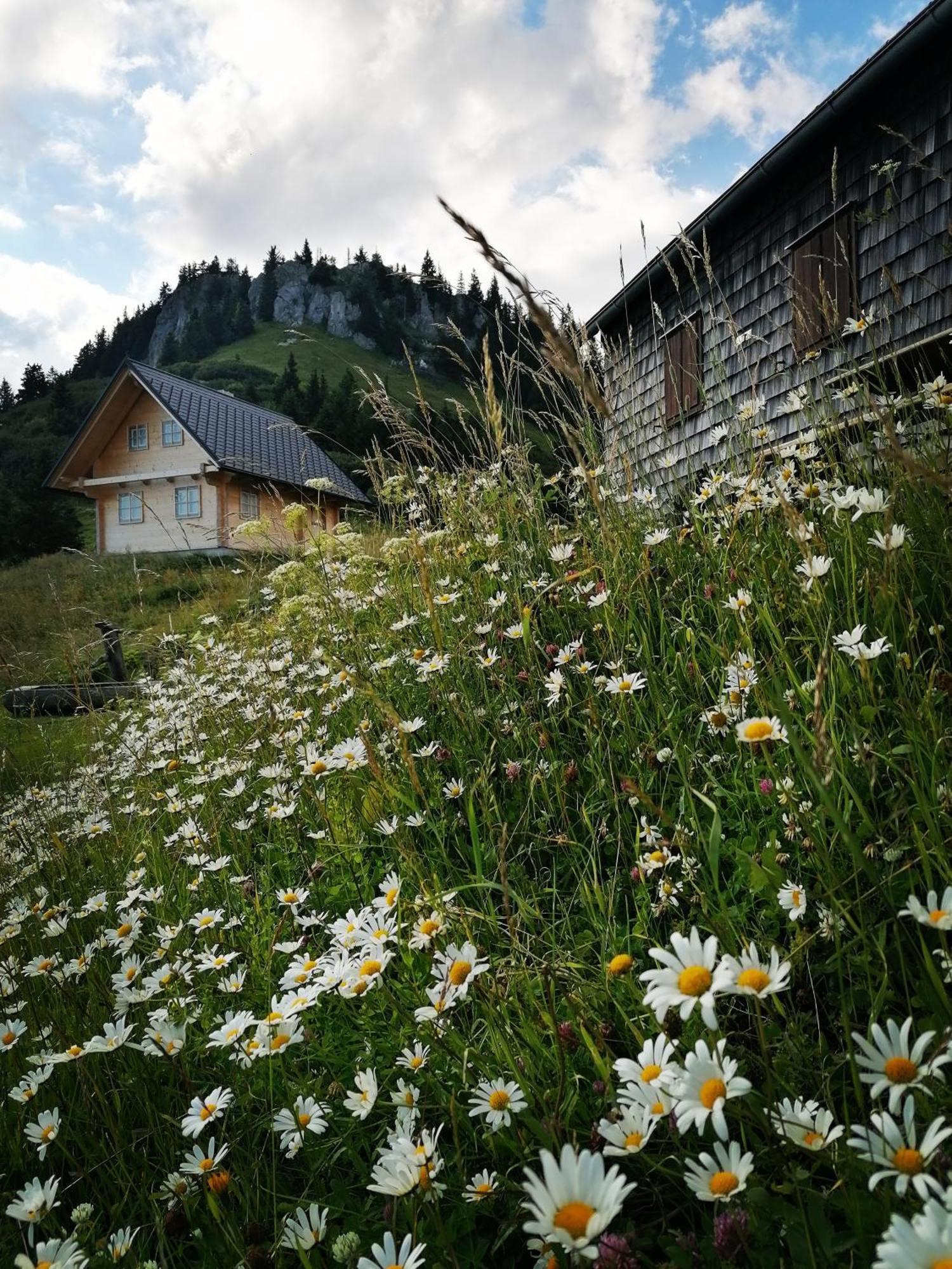 NiederaigenWaldhaus Klein-Veitsch, Auszeit Im Gruenenアパートメント エクステリア 写真